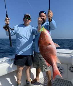 Red Snapper Reeled from Dauphin Island